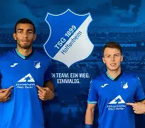 爱游戏官方入口-霍芬海姆图片