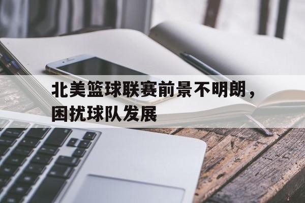 爱游戏官方入口-北美篮球联赛前景不明朗,困扰球队发展怎么办
