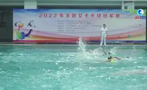 非暴力沟通心得 非暴力沟通心得